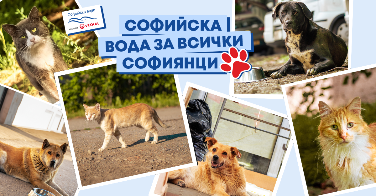 Вода без опаковка и за тези, които не могат да си налеят сами
